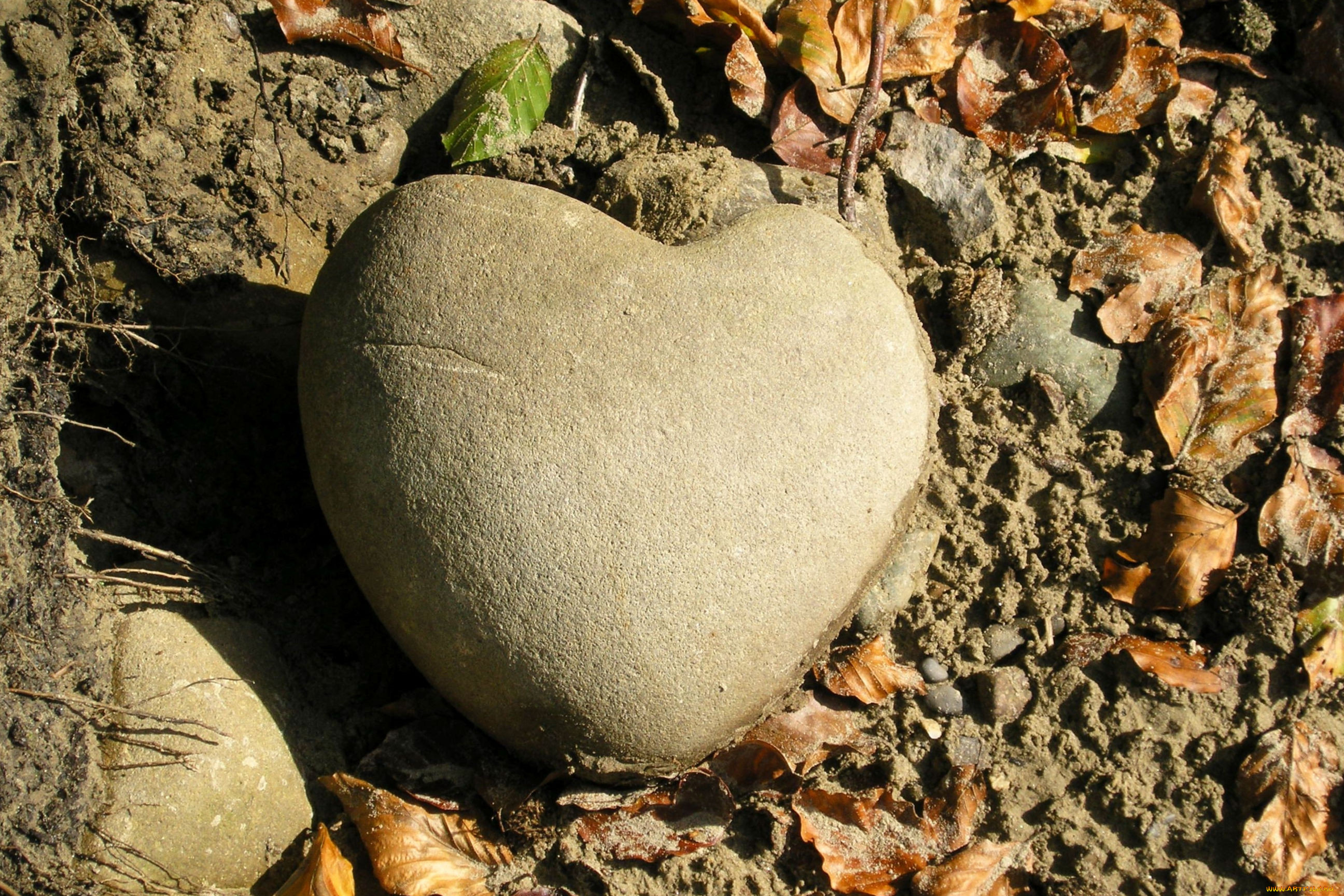 Чему учит сказка каменное сердце. Каменное сердце. Камень в форме сердца. Сердце. Булыжник в виде сердца.